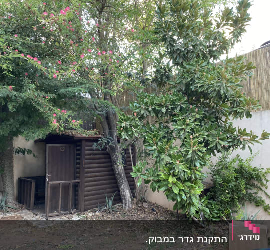 מחסן עץ קטן בגינה עם עצים מסביב